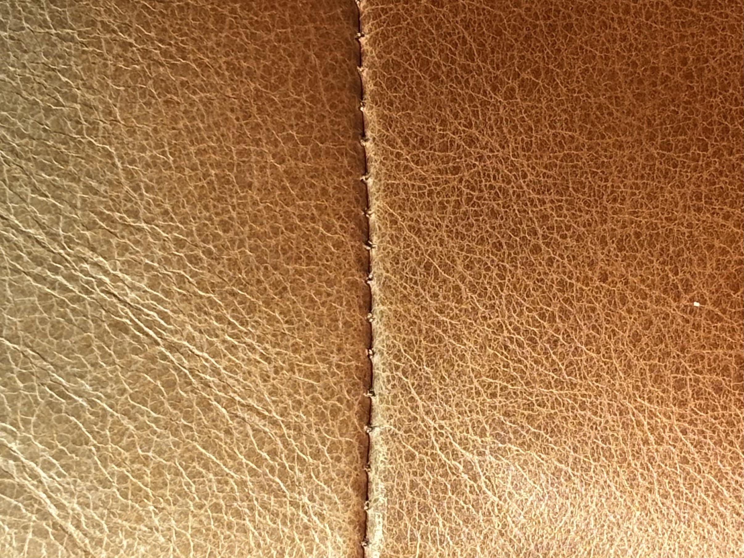Help identifying dye type so I can restore a sun-faded sofa